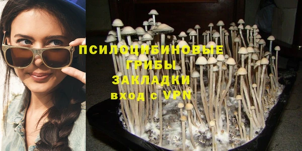 дмт Карпинск