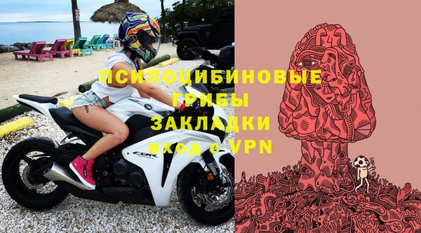 дмт Карпинск