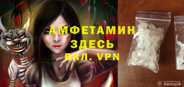 дмт Карпинск