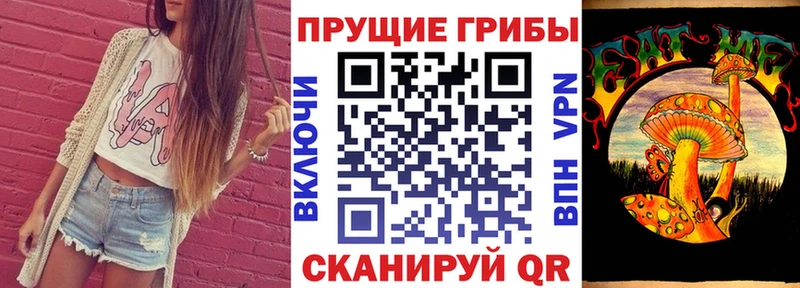 Галлюциногенные грибы Cubensis  Купить закладки  Зеленоградск 